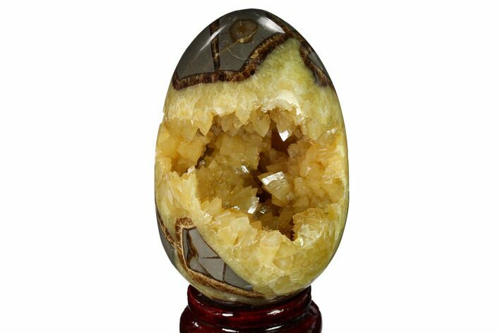 Calcite Crystal Filled Septarian Geode Egg - Utah #160274
